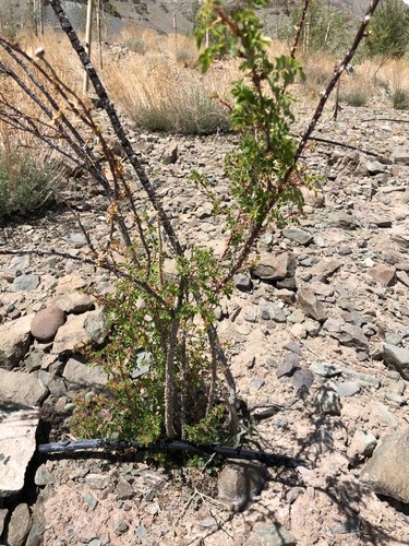 WhatsApp Image 2025-05-23 at 14.22.06