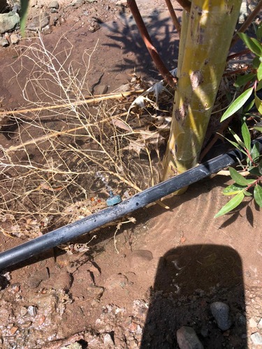 WhatsApp Image 2025-05-23 at 14.21.50 (1)