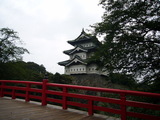 桜が咲いていたらなあ