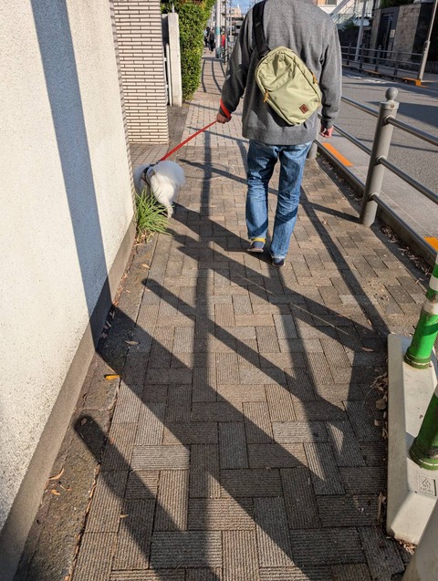 line_oa_chat_251116_170925