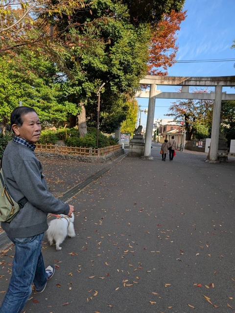 line_oa_chat_251116_170922