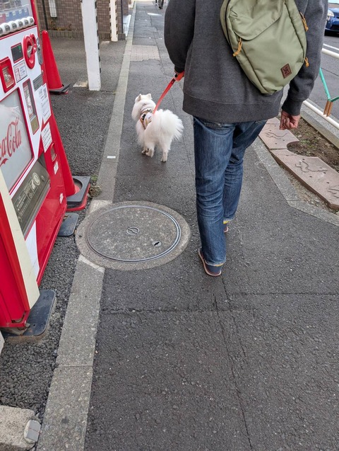 line_oa_chat_251116_170909