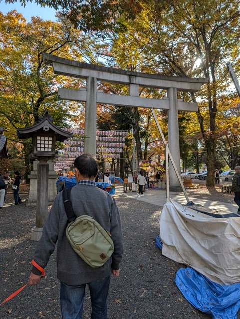 line_oa_chat_251116_170914