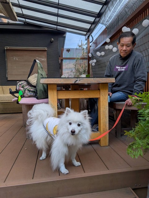 line_oa_chat_251116_170900