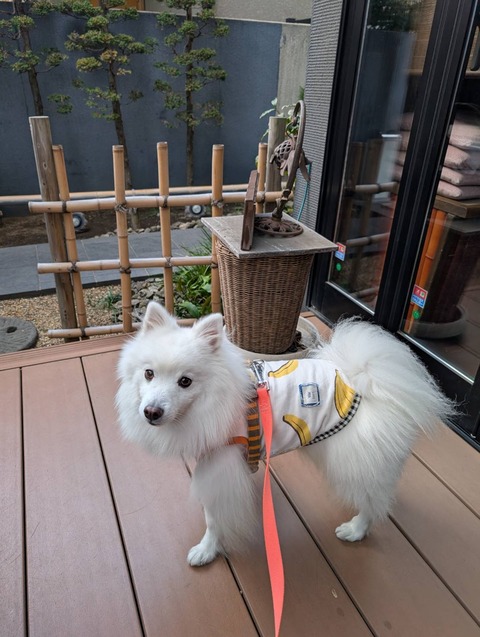 line_oa_chat_251116_170904