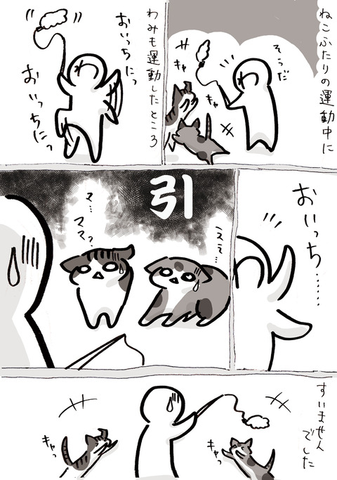 115運動