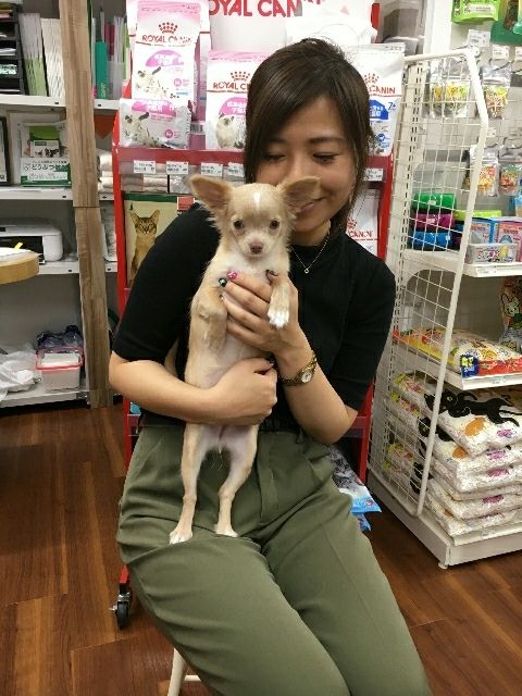 新しい家族が出来ました わん１００ ワンハンドレッド 大倉山店