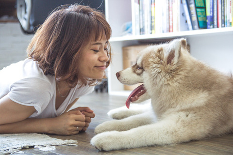 女性とハスキー