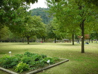 あいかわ公園芝生広場