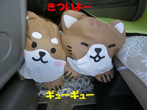 CIMG8579 - コピー