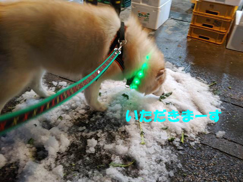BlogPaint