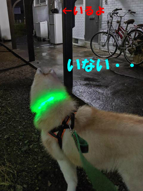 BlogPaint