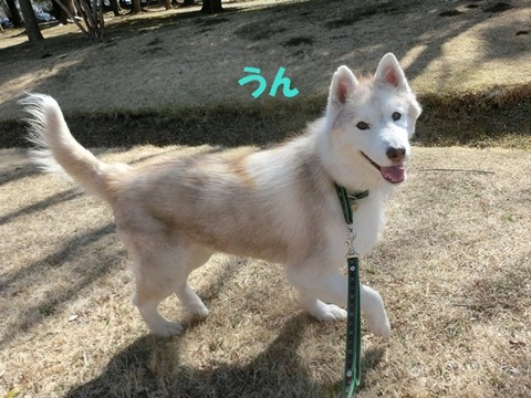 CIMG8546 - コピー