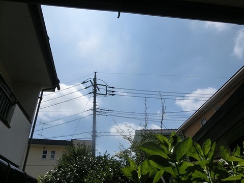 CIMG7103 - コピー