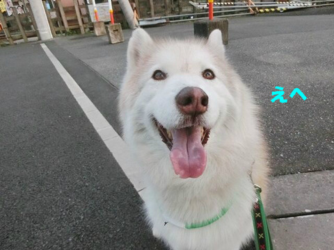 BlogPaint