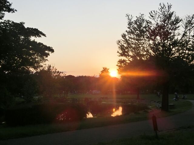 夕方の公園散歩とアークの食欲 Reramama Diary 夕方の公園散歩とアークの食欲 Reramama Diary