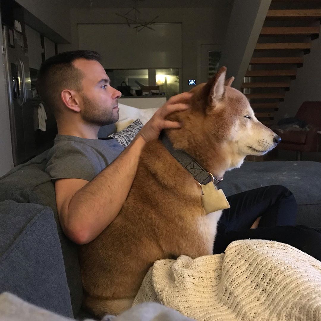 外人「誕生日のラストはイッヌとテレビを見たよ、最後まで付き合ってくれたんだ」