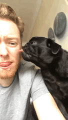 懲りずにいぬのgif わんニャンざんまいの広場