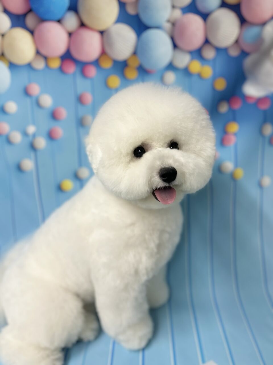 ��ƣ���