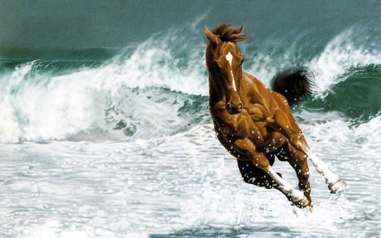 画像あり マジで 馬のイケメン ウマメン がかっこいいと話題にwwwwwwww らくらく速報 画像あり マジで 馬のイケメン ウマメン がかっこいいと話題にwwwwwwww らくらく速報