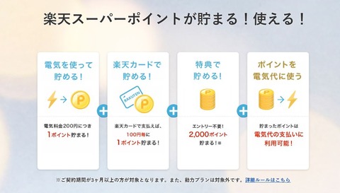 rakuten_denki_3
