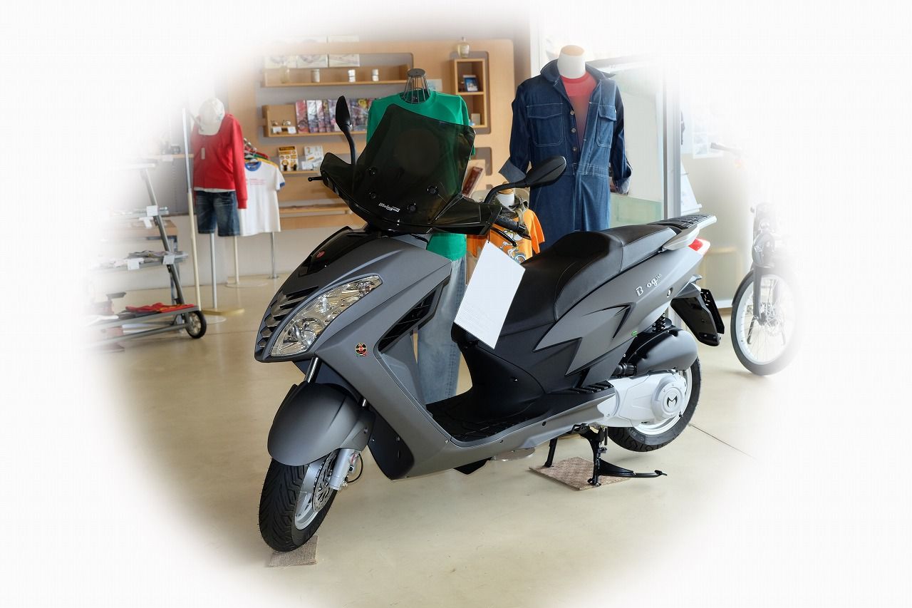 マラグーティ ブログ ルーフ160ie