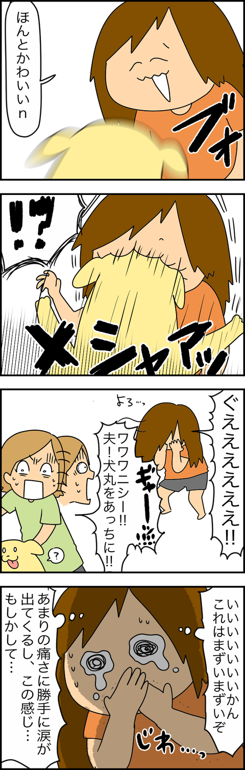 08C56BE9-25AD-407D-8B2E-9AB90ACD2384