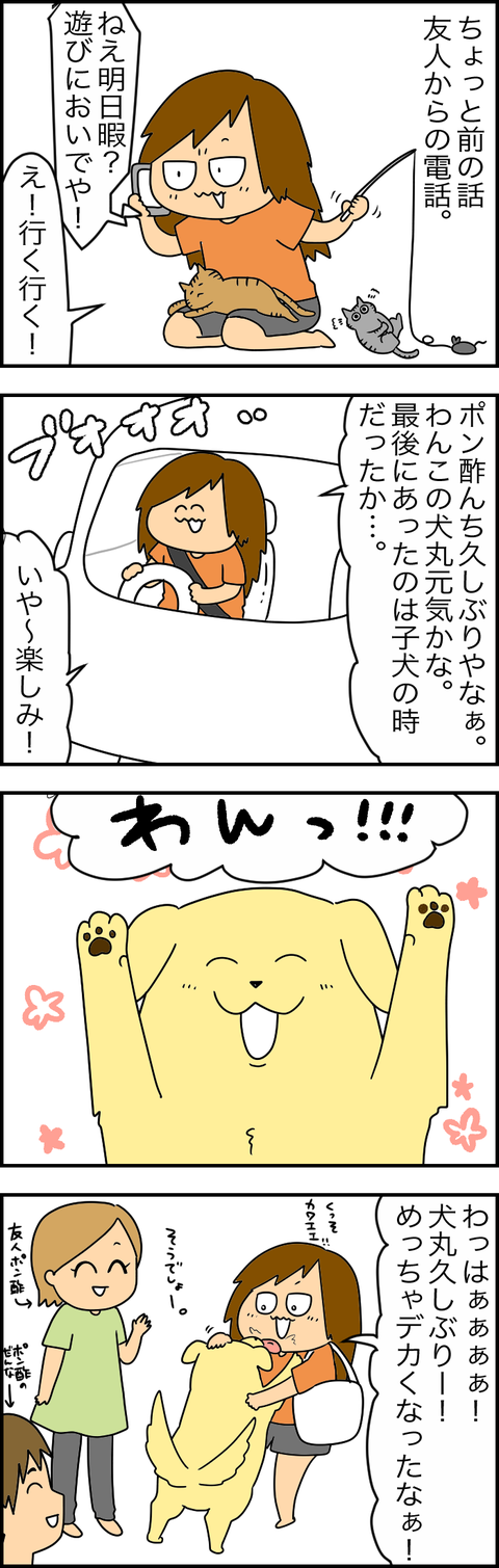 4CCB82A3-B6C1-4EE4-912E-064EDF59D202