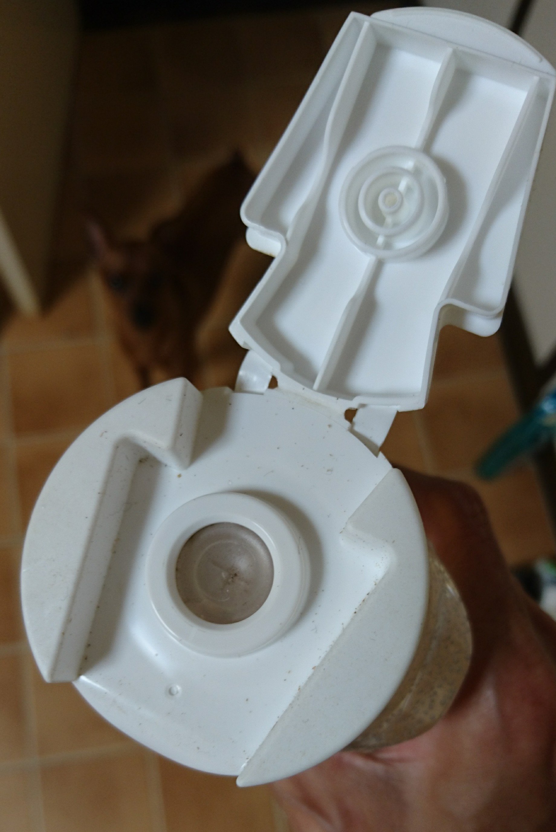 ハインツトマトケチャップ 逆さボトル わんこの日記 F Wicked Angel Miniature Pinscher