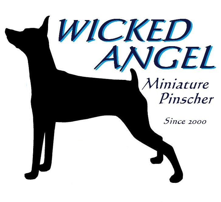 わんこです♡ ふと通ったとこのアートが可愛いすぎたっ🎨 真似しようとしたら