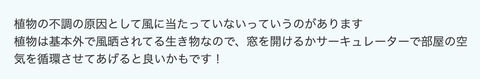 スクリーンショット 2024-05-13 20.44.22