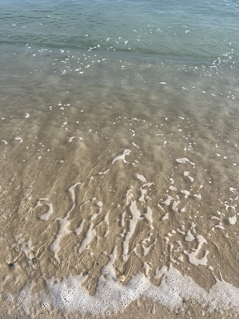 44314B3D-06BF-4CF4-BA81-7B8A67D3D356