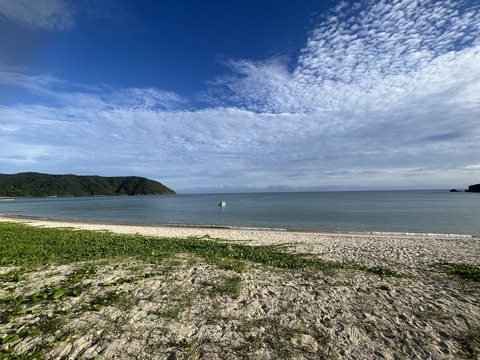 66EC9582-FE5B-41BE-B80F-782163CC2914