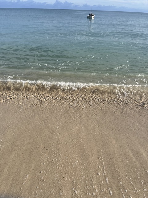 AD0D27F3-4848-46F4-9545-2AE30892DAF0