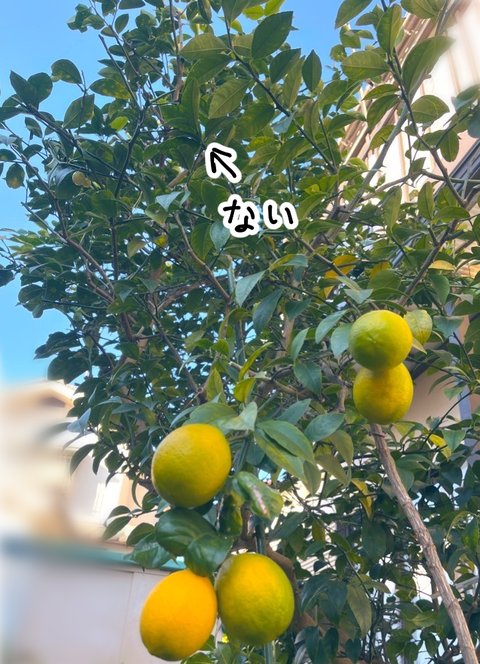 スクリーンショット 2023-01-28 23.37.59