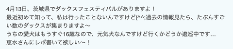 スクリーンショット 2025-03-07 20.39.31