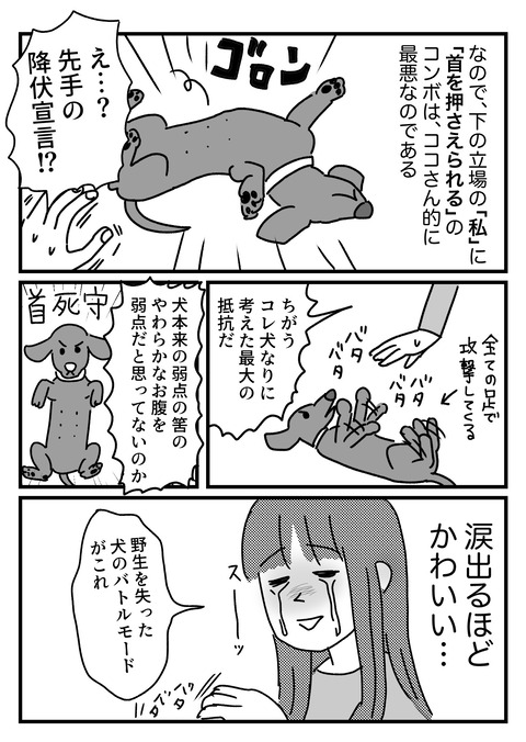  5.16.2