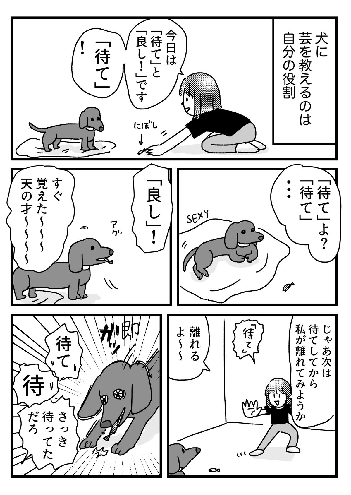 理解してるのに受け入れてくれない犬の話 : ともだちに忍者が多い人の