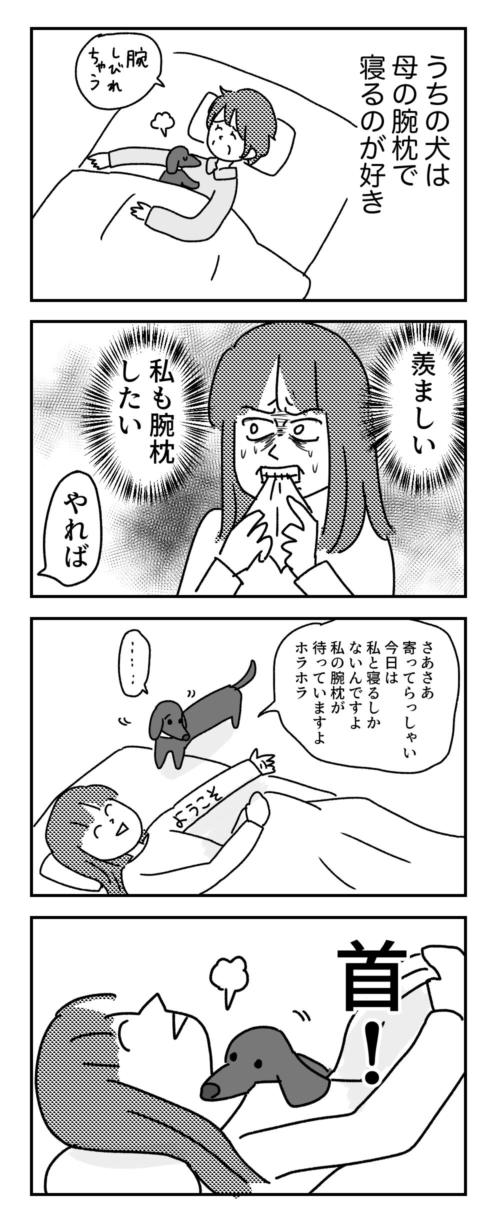 腕に来ない ともだちに忍者が多い人のブログ Powered By ライブドアブログ