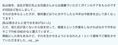 スクリーンショット 2024-06-04 11.36.25
