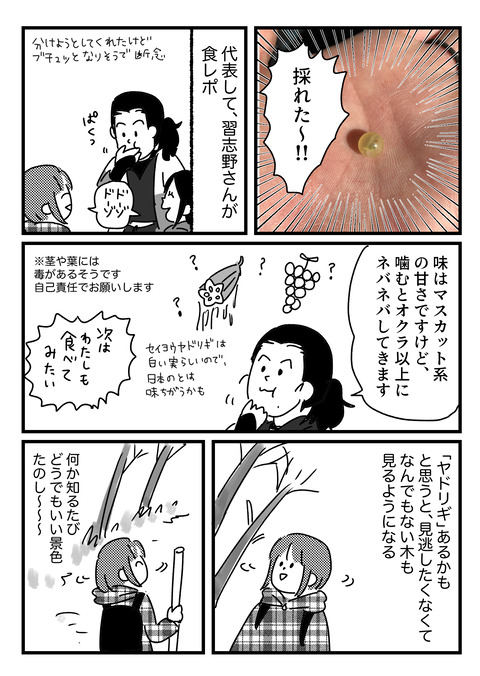 2.18.3