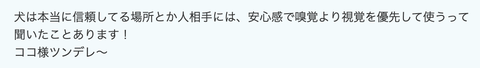 スクリーンショット 2024-07-06 10.02.56