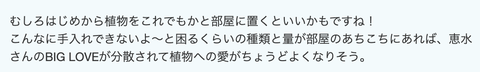 スクリーンショット 2024-05-25 21.16.05