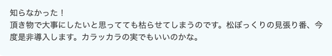 スクリーンショット 2022-12-28 16.39.25