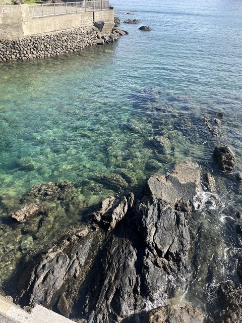 D7BD04B7-D77F-41F3-9285-859DD8E48BF1