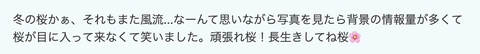スクリーンショット 2025-02-14 20.30.57