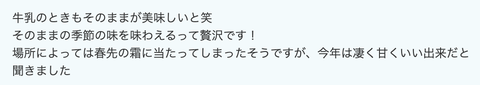 スクリーンショット 2024-10-05 19.28.40