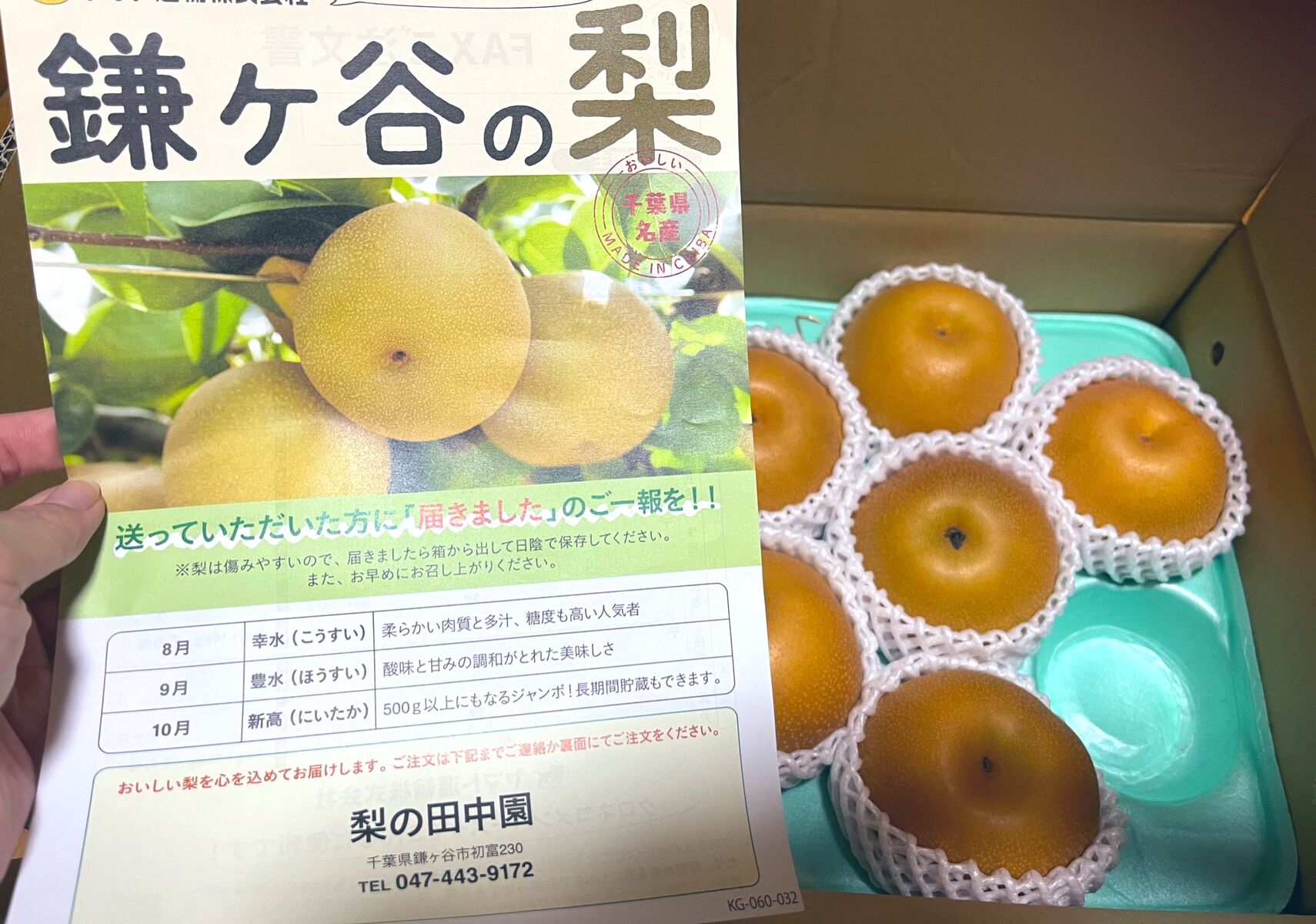 ただ梨おいしい話 : ともだちに忍者が多い人のブログ Powered by