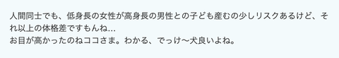 スクリーンショット 2023-11-03 23.41.17