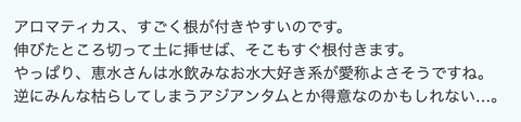 スクリーンショット 2024-09-25 14.05.04
